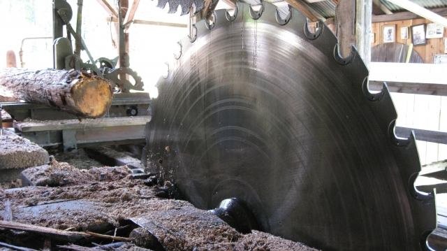 Saw Blade in Saw Mill