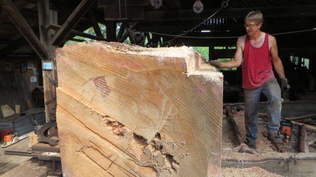 Gregg Hendrix uses a chain saw to cut a path in the log for the upper saw hub to pass. 8/8/2013