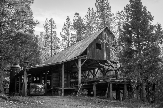 Mill from the rear